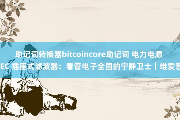 助记词转换器bitcoincore助记词 电力电源 IEC 插座式滤波器：看管电子全国的宁静卫士｜维爱普